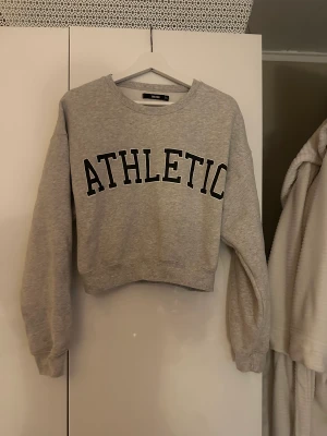 sweatshirt - Grå sweatshirt från Bikbok❤️‍🔥🍁