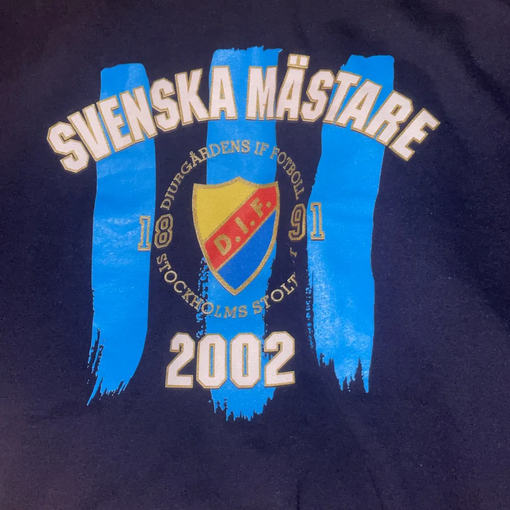 Dif tröja från vinståret 2002. Storlek M och i grymt skick.. Hoodies.