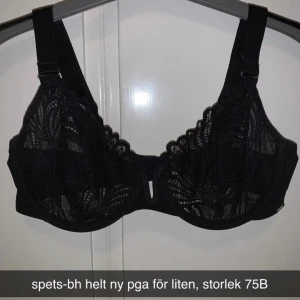spets bh - helt ny endast testad spets bh. storlek 75B. nypris 399kr men säljer för 50kr