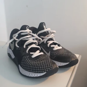 Nike Renew Elevate II  - Tjena! Säljer nu mina basketskor som jag använde i ungefär 1 Säsong, Orsaken till att jag säljer dem är att dem blev små rätt så snabbt. Orginalpriset låg på 999 kr när dem köptes.
