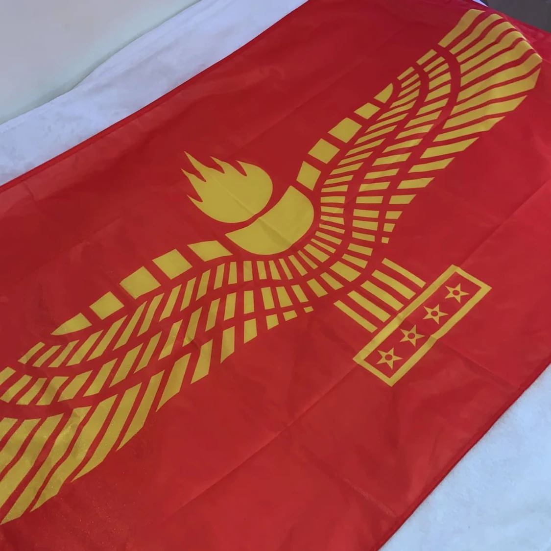 STUDENTFLAGGOR (1 land) - 91