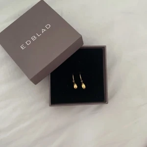 Örhängen ifrån Edblad  - Säljer jätte fina och populära örhängen ifrån Edblad i guld, använda enstaka gånger!💗