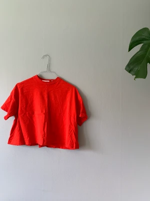 Cropad tshirt Weekday - Finns i vit och blå med. Kan köpas i kombo för 100 kr. 