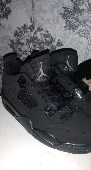 Jordans 4 - Har haft de ett par gånger men är helt nya och fräscha 