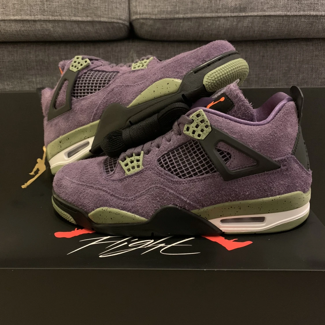 Jordan 4 Canyon purple