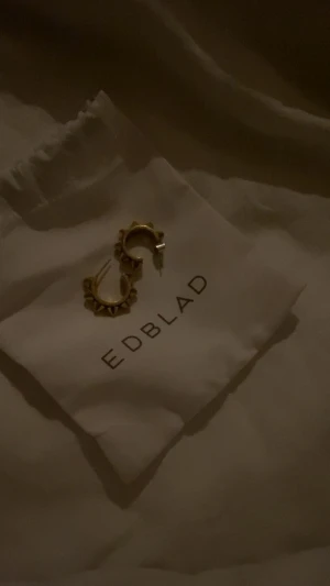 Edblad örhängen  - Säljer mina edblad örhängen! Säljer för att dom inte kommer till användningen längre ❣️ örhängena är i fint skick!! 