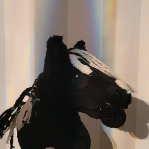 Käpphäst - Fin käpphäst med inga hål osv. 