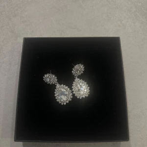 Öronhänge - Säljer mitt fina öronhänge aldrig använd. Pris 50 kr 