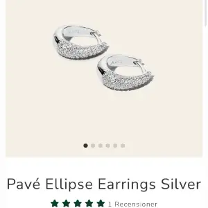 Silvriga ani örhängen som jag fick i presenten men använder inte silver därav säljer jag de. HELT OANVÄNDA‼️