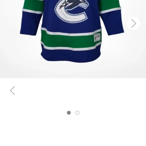 NHL Elias pettersson - Använd 2 ggr