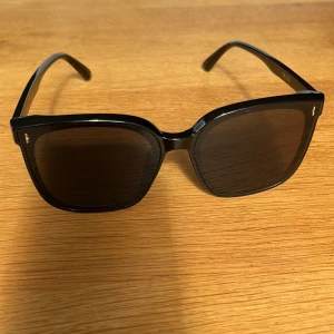 Gentle Monster solglasögon - Oanvända solglasögon Gentle Monster modell Frida. Inköpspris 2.800kr.