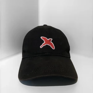 Axel arigato Keps  - Säljer en svart Axel Arigato keps, den är lite lite solblekt men annars i gott skick. 