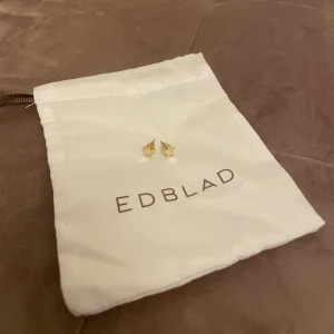 Stjärnörhängen - Örhängen med stjärnor från Edblad i guld🥰🥰 200kr!