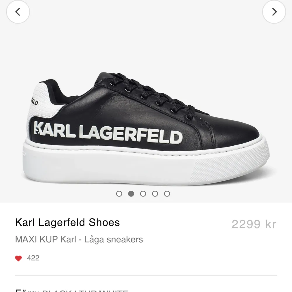 Jättefina HELT NYA Karl Lagerfeld skor! Aldrig använda säljer för att de inte passade mig❣️Dustbag och kartong följer med. Köpta för 2300. Skor.
