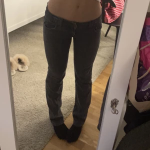 Lågmidjade jeans - Jätte snygga och coola jeans från rock rival. De är lågmidjade och typ bootcut blandat med straight. Så de är inte skinny, man kan även klippa upp de om man vill ha de större.  snyggast fickorna, tror de är från miss me, men kontakta via frågor och köp! 
