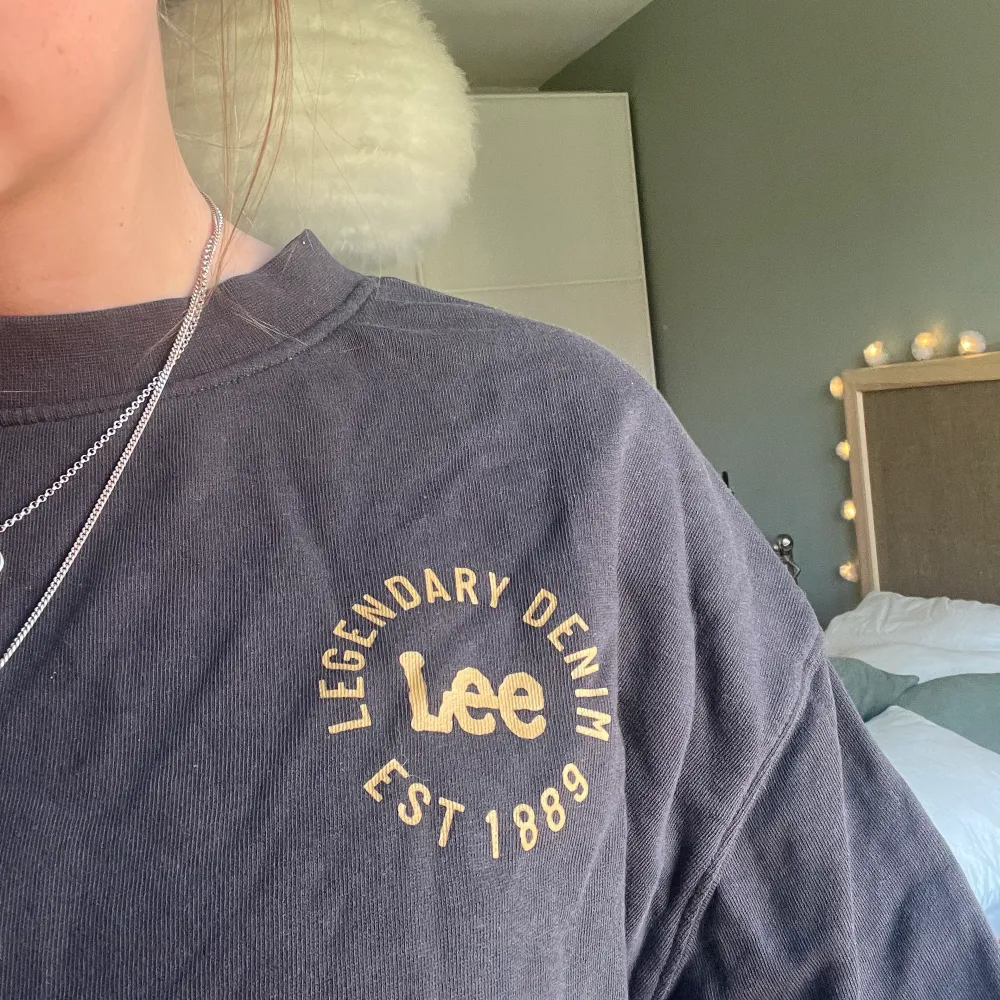 Supersnygg tröja från Lee i grått med lite guldaktigt tryck i storlek M men passar S också🥰 . Tröjor & Koftor.
