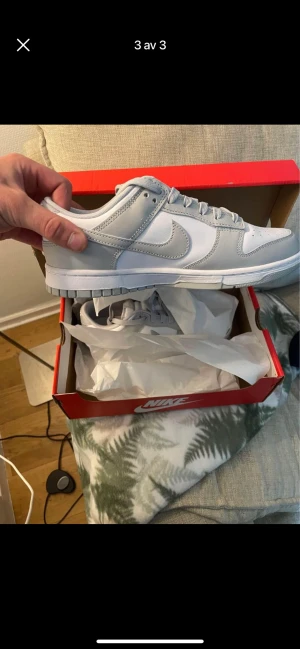 Nike dunk grey fog  - Helt nya och populära Nike dunk grey fog i storlek 42 box får man med!