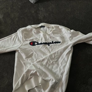 Tjocktröja - Jätteskön champion tröja