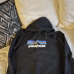 Patagonia hoodie - Storlek L