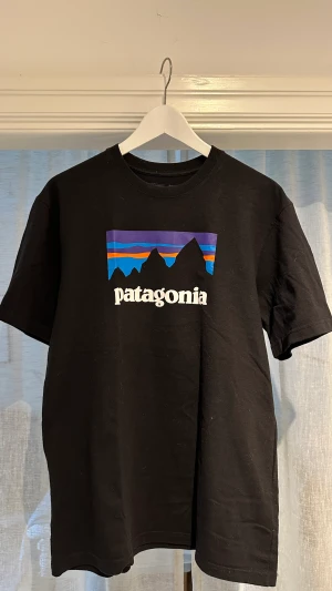 Tshirt Patagonia S - Great conditions  Worn very few times