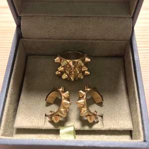 Säljer detta supercoola smyckes”set” från Edblad!💥🥂🐆nypris ≈ 800kr
