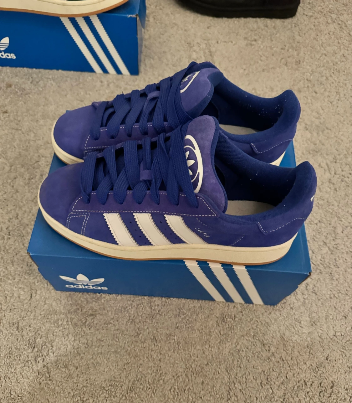 Adidas Campus 00s