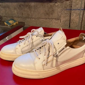 Guiseppe Zanotti  - .