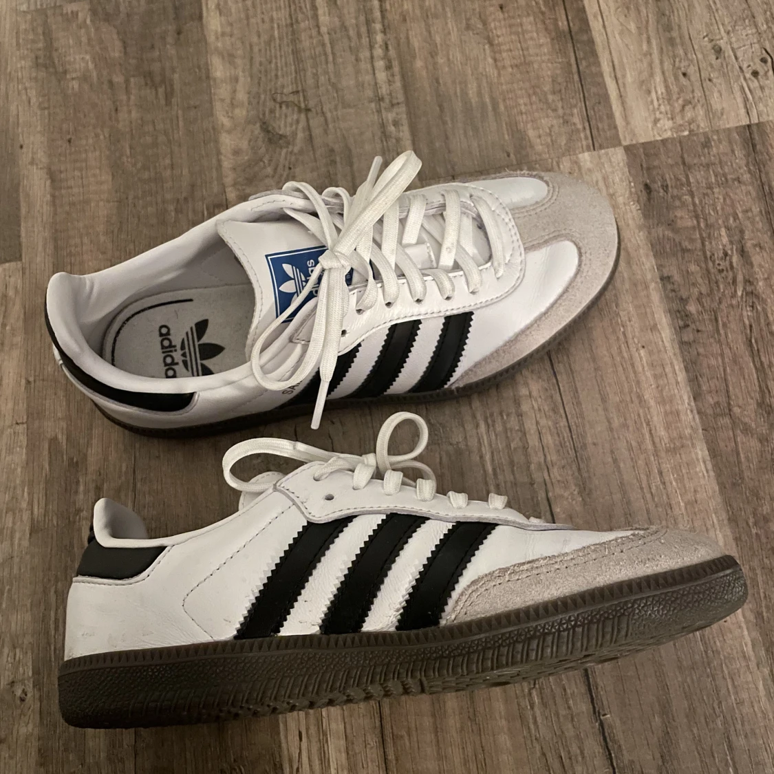 Adidas samba