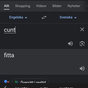 Super fina ord - PUSSY SASSY CUNT👉🏻✨️✨️👌🏼