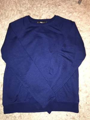 Sweatshirt  - I storlek xs från FB sisters