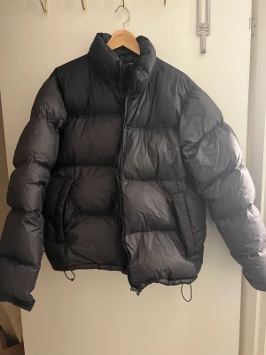 Vinterjacka  - Använd ett år. Gåsfjäder köpt för 3700kr 