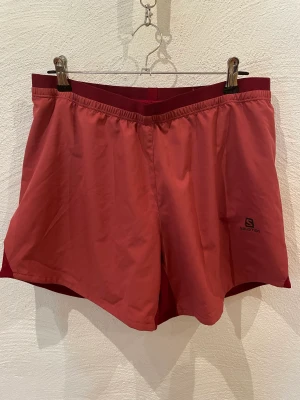 NYA Salomon Cross 3 löparshorts dam, stl M - Tekniska löparshorts för damer. De är korta i benen, tillverkade av   ventilerande och  svettransporterande material. De torkar snabbt och innerst finns det mesh för ökad ventilation. Elastisk linning med dragsko och en bakficka. Finns hund/katt i hemmet