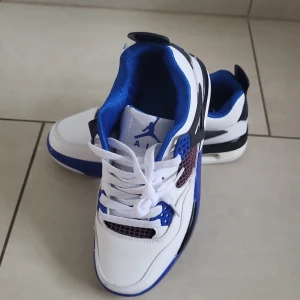 Nike Jordan 4 - Säljer dessa nästan helt oanvända i strl: 37 