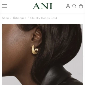 ANI örhängen - Helt ny, inga defekter ALLS mer än att jag tyvärr blivit av med ”plopparna” där bak men man kan ju använda vilka som helst. Gav 1.100 för dom.