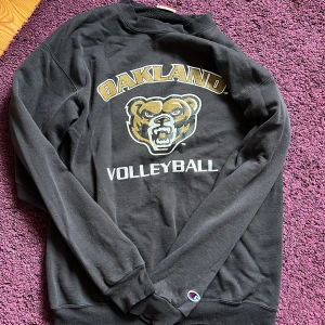 Collegetröja  - Jättefin och skön collegetröja från Champion, lite defekter efter användning men endast en liten omärkbar blekningsfläck på axeln. Pris diskuterbart! ❤️‍🔥