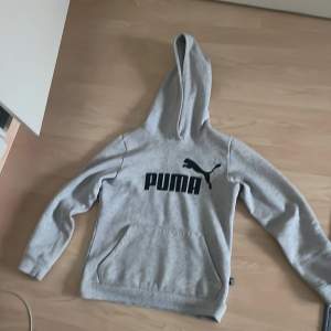 Tja säljer en grå puma hoodie. Tröjan har använts ett fåtal gånger men fint skick. Storlek 152. Hör av er vid funderingar!