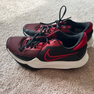 Basketskor - Nike basketskor försiktigt andvända stl 39.
