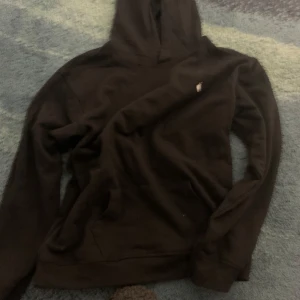 Svart hoodie - Säljer en svart hoodie med en liten logga på bröstet. Perfekt för en avslappnad stil. Den har en klassisk design med huva och långa ärmar. (Fejk Ralph lauren)