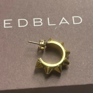 Guldörhänge med nitar från Edblad - Snyggt guldörhänge från Edblad med coola nitar runt hela ringen. Perfekt för att ge din stil en edgy touch. Passar både till vardag och fest. Säljer 1 pga att jag tappat bort det andra och därmed inte får någon användning av det längre och tänker att någon annan kanske gjort samma men bara är ute efter 1🥰🥰