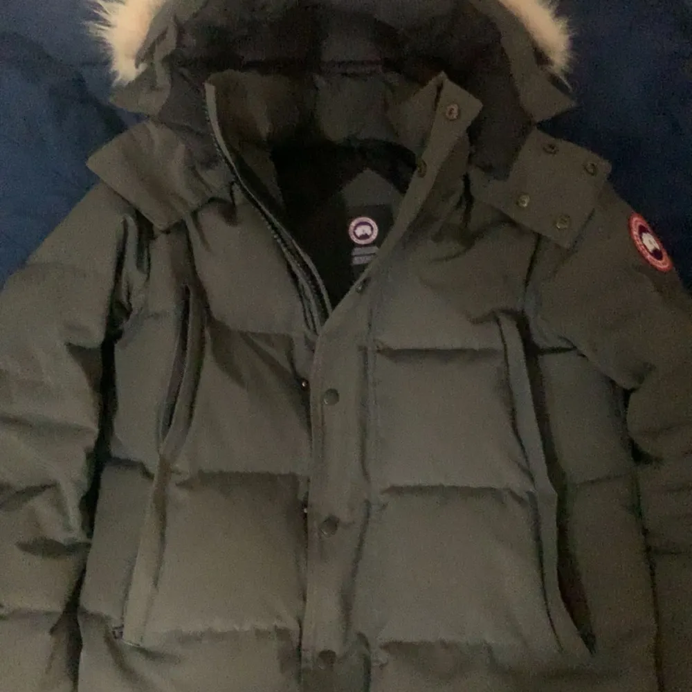 Säljer en grå dunjacka från Canada Goose med pälsdetaljer på huvan. Jackan är perfekt för kalla vinterdagar och har en klassisk design med både dragkedja och knappar. Den är i mycket bra skick och redo för nya äventyr!, Den har ett litet hål inne vid armen man ser det på bilden!. Jackor.