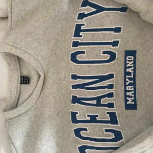 Grå Sweatshirt  - Jätte skönt sweatshirts, aldrig använd så är jätte mjuk och skön i☺️