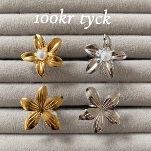 Ringar  - Frakt 22kr 