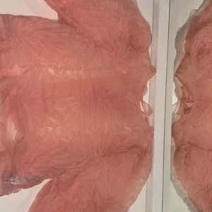 Rosa transparent blus - Säljer en romantisk rosa blus i transparent material med volangdetaljer. Perfekt för en somrig look med sina lätta och luftiga ärmar.