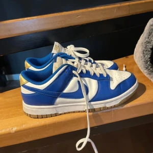 Nike dunk low storlek 37,5  - Fläckar syns på bilderna