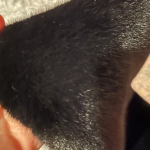 Svart pälsliknande halsduk - Elegant svart halsduk med pälsliknande textur som också kan sättas på jackor . Perfekt för att ge en lyxig touch till din outfit. Den är lång och mjuk, vilket gör den idealisk för kyliga dagar.