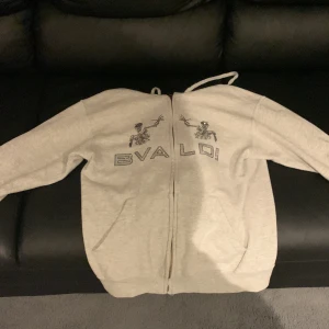 Grå Bvaldi hoodie - Säljer en grå hoodie från Bvaldi med dragkedja och tryck på framsidan.  Har haft den i ungefär 2 månader men har inte använt den mycket. Pris kan diskuteras