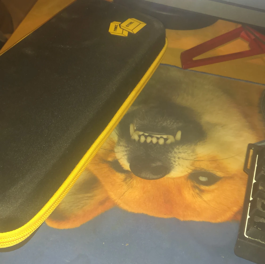 Johan ”Apex Pro Mini” Drevhage