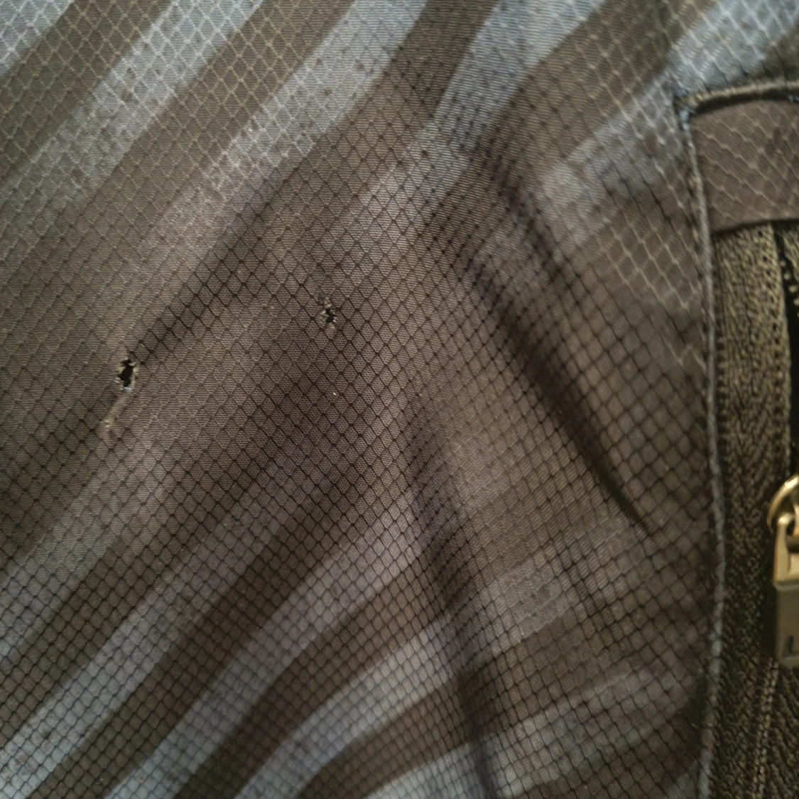 Svart och blå randig jacka från Lacoste - 92