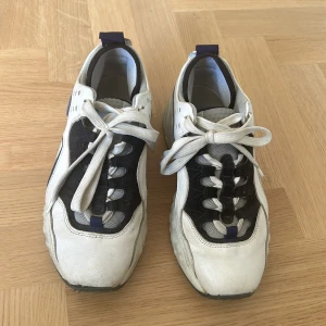 Acne skor - Välanvända sneakers nypris 4500:- Stl 38 Går putsa upp 