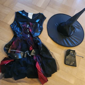 Halloween häxa utklädnad/cosplay - Alldrig använd bara provad, den är S   Pris kan diskuteras